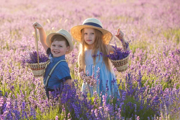 Sister Brother Walking Lavender Field — Stock Photo, Image