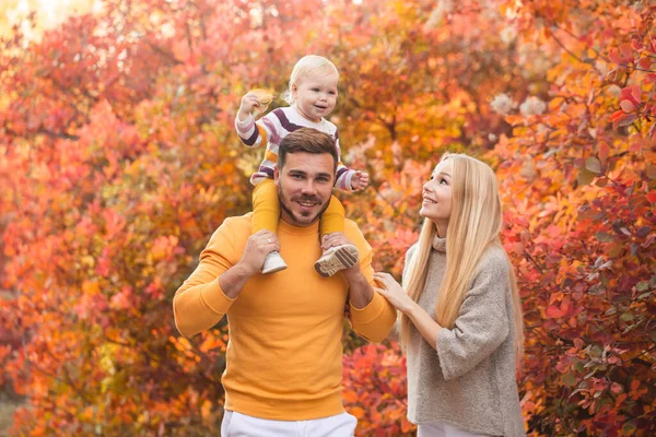 Ein Ehepaar Und Seine Kleine Tochter Gehen Herbstlichen Wald Spazieren — Stockfoto