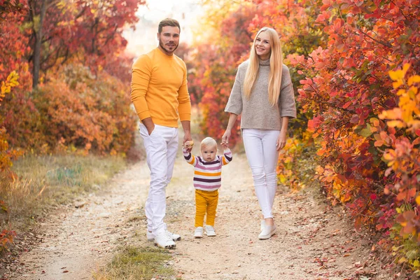 結婚した夫婦と彼らの小さな娘は秋の森を歩いている 人々は白いパンツと鮮やかな色のセーターを着ています 健康的なライフスタイル 家族の価値 ロイヤリティフリーのストック写真