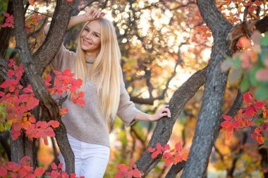 Peri sonbahar ormanında kısa kollu, örgülü, moda süveter giyen uzun saçlı sarışın. Sağlıklı saçlar ve cilt. Sağlığınıza dikkat edin.