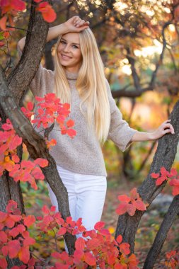 Peri sonbahar ormanında kısa kollu, örgülü, moda süveter giyen uzun saçlı sarışın. Sağlıklı saçlar ve cilt. Sağlığınıza dikkat edin.