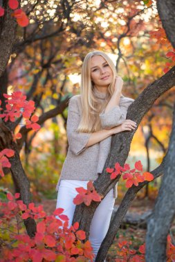 Peri sonbahar ormanında kısa kollu, örgülü, moda süveter giyen uzun saçlı sarışın. Sağlıklı saçlar ve cilt. Sağlığınıza dikkat edin.