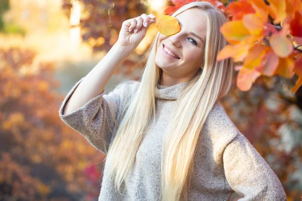 Dlouhovlasá Blondýna Pleteném Módním Svetru Krátkými Rukávy Pózující Podzimním Lese — Stock fotografie