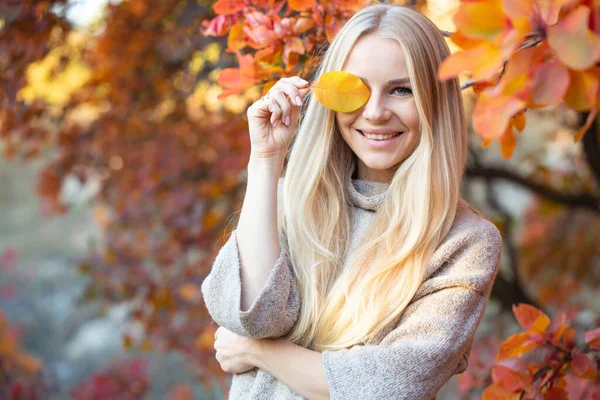 Длинноволосая Блондинка Трикотажном Модном Свитере Короткими Рукавами Позирующими Осеннем Лесу — стоковое фото