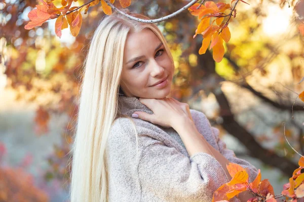 Długowłosa Blondynka Modnym Swetrze Krótkimi Rękawami Pozująca Jesiennym Lesie Zdrowe — Zdjęcie stockowe