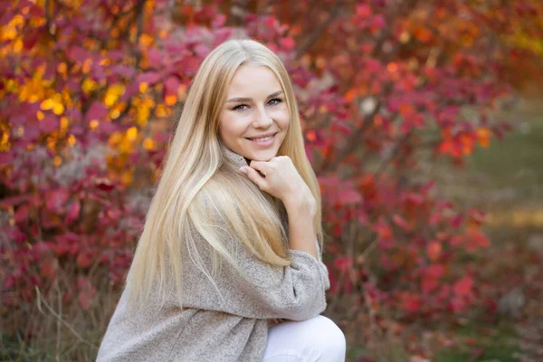 Langhaarige Blondine Einem Strickpullover Mit Kurzen Ärmeln Posiert Herbstlichen Wald — Stockfoto