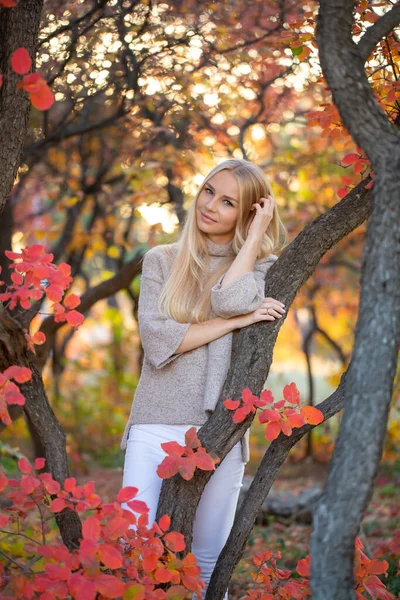 Blonde Aux Cheveux Longs Dans Pull Tricoté Mode Avec Des — Photo