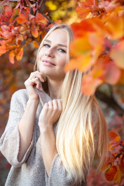 Bionda Dai Capelli Lunghi Maglione Alla Moda Lavorato Maglia Con — Foto Stock