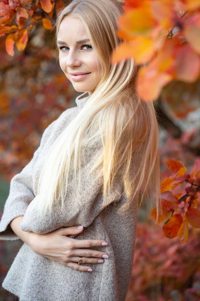 Loira Cabelos Compridos Suéter Elegante Malha Com Mangas Curtas Posando — Fotografia de Stock