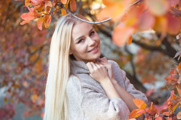 Rubia Pelo Largo Suéter Punto Moda Con Mangas Cortas Posando —  Fotos de Stock