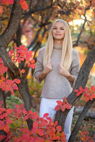 Långhårig Blondin Stickad Trendig Tröja Med Korta Ärmar Som Poserar — Stockfoto