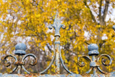 Paslı eski bir bahçe çit