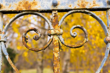 Paslı eski bir bahçe çit