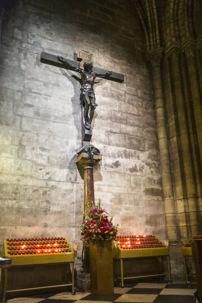 Notre dame binnen — Stockfoto