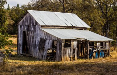 Bakıma muhtaç ahşap ahırda terk edilmiş