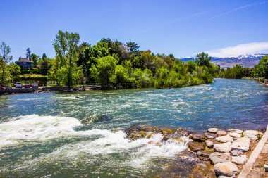 İlkbaharda Rushing Truckee Nehri