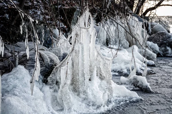 göl kıyısında buzlu dalları