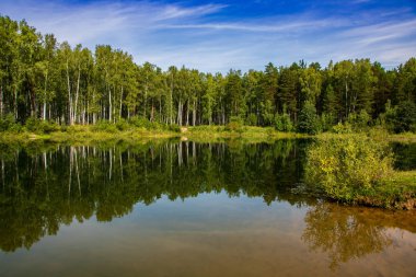 güzel orman manzara, ağaçlar göle yansıyan