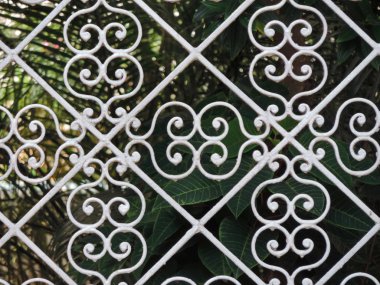 Bir süslü beyaz demir ızgara eğrileri desenli ayrıntılarını