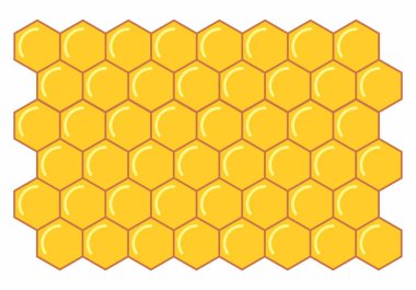 Bir petek beyaz arka plan üzerinde gösterimi