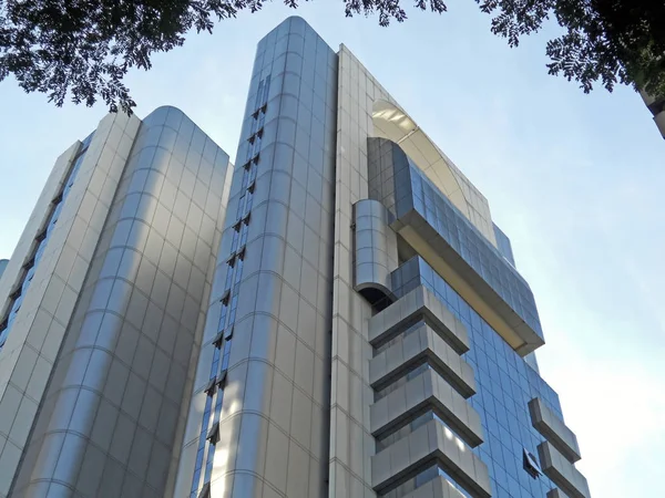 Moderno Edificio Corporativo Zona Sur Sao Paulo Brasil —  Fotos de Stock