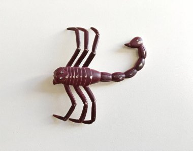 Beyaz zemin üzerinde bir plastik oyuncak akrep