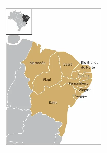 Mapa Região Nordeste Brasil Com Estados Identificados — Vetor de Stock