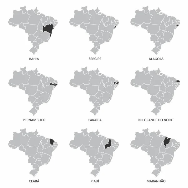Brezilya haritaları seti — Stok Vektör