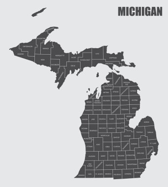 Michigan İlçe Haritası