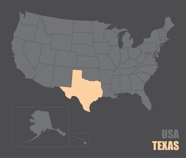 Mappa Degli Stati Uniti Con Stato Del Texas Evidenziato — Vettoriale Stock