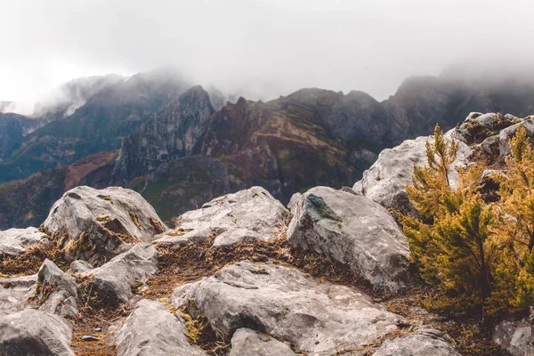 Pico Ruivo, Madeira tepesinden görüntüleyin. Portekiz