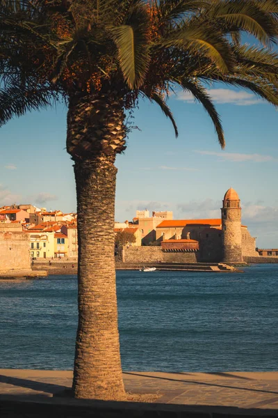 Вид Колокольню Разноцветные Фасады Домов Collioure Франция — стоковое фото