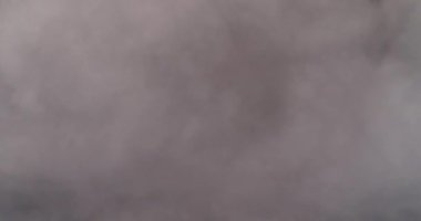 sabah tay Aloe vera bitki yağmurlama. 