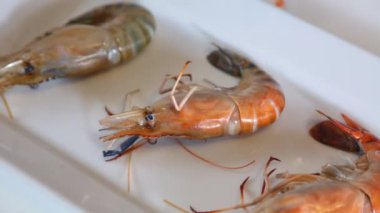 Lezzetli ızgara karides plaka üzerinde. mini gaz brülörlü Tay Restoran ile ızgara. Bangkok, Tayland.