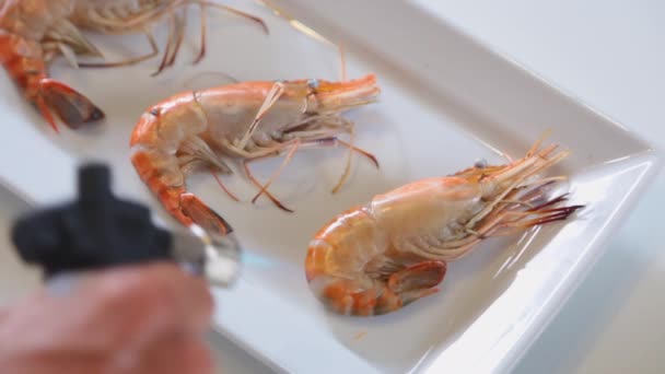 Lahodnou Gril Krevety Desce Grilovaný Mini Plynovým Hořákem Thajské Restauraci — Stock video