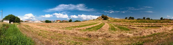 Sardegna Paesaggio Rurale Meridionale — Foto Stock