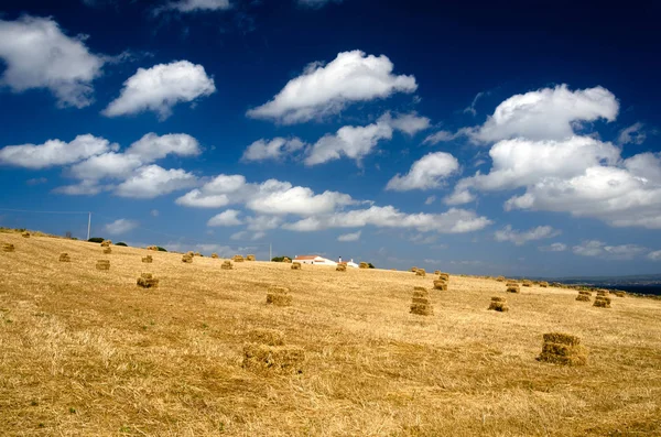 Beautiful View Landscape Italy Europe — Fotografia de Stock