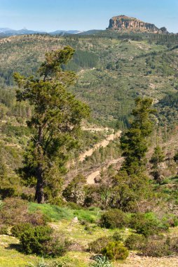 güzel manzara, manzara, İtalya, Avrupa