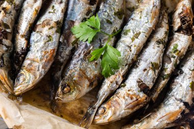 Mavi balıklar, sardalyalar, yaklaşın.