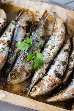 Mavi balıklar, sardalyalar, yaklaşın.