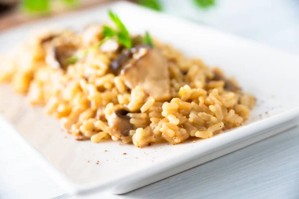 Dish Delicious Creamy Mushroom Risotto — Stock Photo, Image