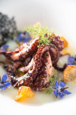 Topinambur ve patates sosu üzerine kavrulmuş ahtapot Çanak 