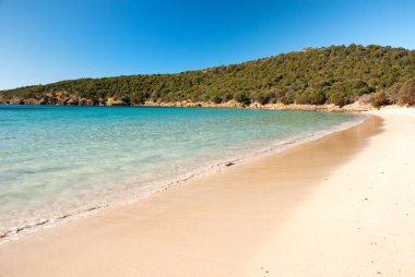 Tuerredda, beautiful sandy beach in Sardinia, Italy clipart