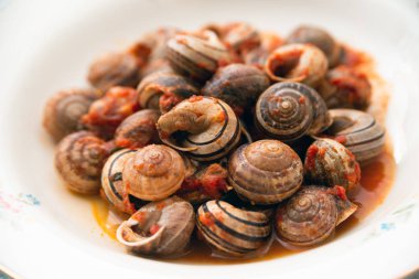 Baharatlı domates soslu pişmiş salyangoz tabağı, tipik Sardunya yemeği.