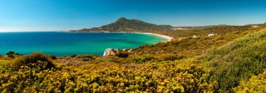 İtalya 'nın Sardinya kentindeki Portixeddu' nun göz kamaştırıcı sahili 