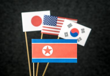 Kuzey Kore, Amerika Birleşik Devletleri (ABD), Güney Kore ve Japonya bayrağı kağıt ahşap çubuk koyu arka plan üzerinde yapılan.