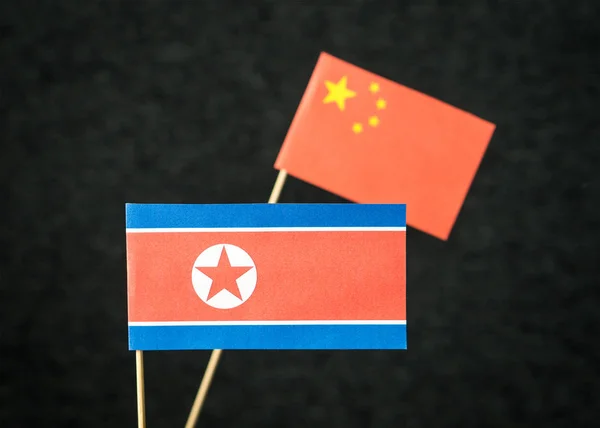 Flag North Korea China Made Paper Wooden Stick Dark Background — Stock Photo, Image