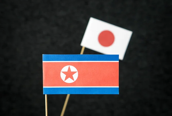 Flag North Korea Japan Made Paper Wooden Stick Dark Background — Stock Photo, Image