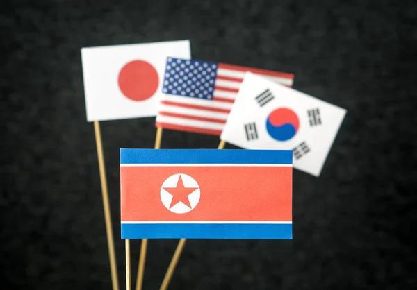 Die Flagge Nordkoreas Der Vereinigten Staaten Von Amerika Usa Südkoreas — Stockfoto