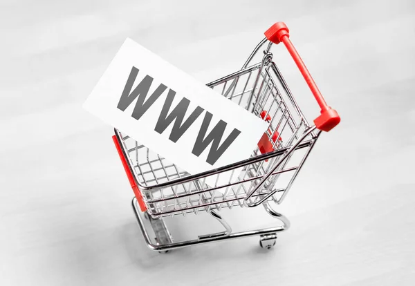 Buying domain name for company website. Online shopping, e commerce and internet store concept. Newsletter and email marketing. Miniature shopping cart with www letters.